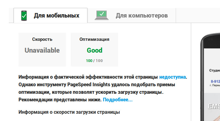 Оптимизация PageSpeed Insights FitLab59.ru